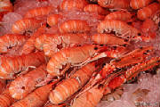 shrimps-1125071878.jpg